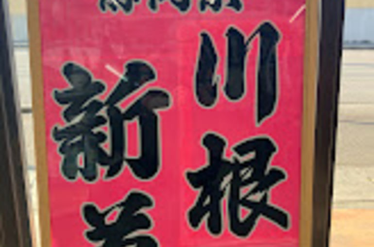 川根産新茶